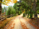 Autumn Wisconsin Landscape