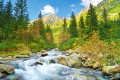 Roztoka Valley, High Tatras, Poland