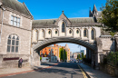 Christ Church Cathedral In Dublin, Ireland