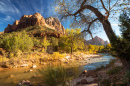 Watchman Mountain, Zion NP, Utah