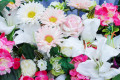 Fabric Flowers