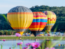 Hot Air Balloons, Chiangrai, Thailand