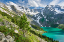 Summer Landscape, Altai Mountains, Siberia