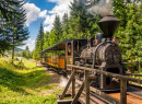 Forest Railway, Vychylovka Village, Slovakia