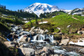 Edith Creek, Mount Rainier NP