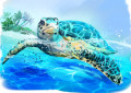 Sea Turtle Watercolor