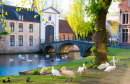 Lake of Love in Bruges, Belgium