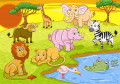 African Animals