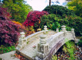 Bridge in the Japanese Garden