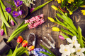 Flowers and Gardening Tools