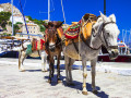 Hydra Island, Greece