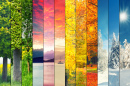 Four Seasons