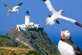 Muckle Flugga Lighthouse, Scotland