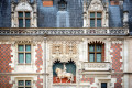 Chateau de Blois, France