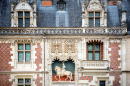 Chateau de Blois, France