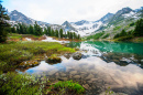 Mountain Lake, Swiss Alps