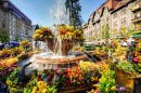 Victoria Square, Timisoara, Romania