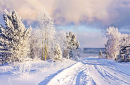 Winter Countryside Landscape