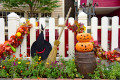 Halloween Decorations