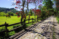 Andes Mountains, Antioquia, Colombia