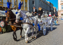 Horse Carriages in Krakow, Poland