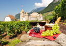 Chateau d'Aigle, Switzerland