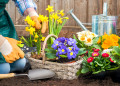 Planting Flowers