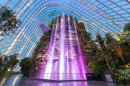 Cloud Dome, Garden by the Bay, Singapore