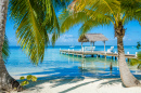 Belize Cayes, Caribbean Sea