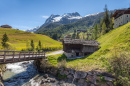 Mountain Stream in the Ahrntal, Italy