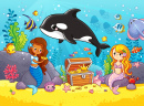 Cute Orca Whale
