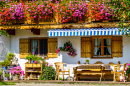 Bavarian Farmhouse Frontyard