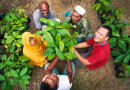 Cocoa Farmers in Jayapura, Indonesia