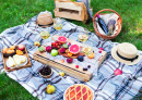 Summer Picnic