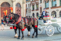 Horse Carriage in Krakow, Poland