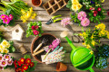 Gardening Tools and Spring Flowers