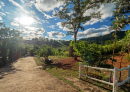 Thailand Countryside
