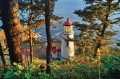 Lighthouse at the Oregon Coast