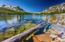 Tioga Lake and Mt. Dana, California