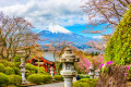 Gotemba City, and Mt. Fuji, Japan