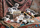 Kittens with Books