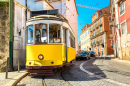 Vintage Tram in Lisbon, Portugal