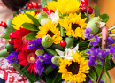 Gerbera, Daisy and Sunflowers