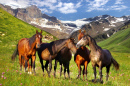 Mountain Landscape with Horses