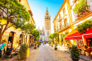 Sunny Street in Sevilla, Spain