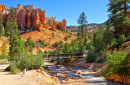 Mossy Cave Trail, Bryce Canyon NP, Utah