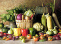 Still Life with Vegetables and Herbs