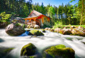 Forest River in Golling, Austria