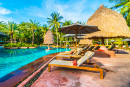 Swimming Pool in a Tropical Resort