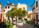 Poggio Old Town, Elba Island, Italy